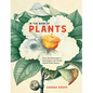 In the Name of Plants: From Attenborough to Washington, the People Behind Plant Names - Hardcover