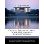 Critical Issues in Large-Scale Assessment: A Resource Guide - Paperback