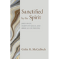 Sanctified by the Spirit: John Owen, Habits of Grace, and Biblical Counseling - Paperback