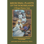 Medicinal Plants of the Borderlands: A Bilingual Resource Guide - Paperback