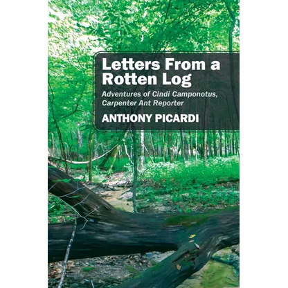 Letters From a Rotten Log: Adventures of Cindi Camponotus, Carpenter Ant Reporter - Paperback