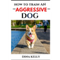 How to Train an Aggressive Dog: Aggressive dog training guide for beginners, puppy training gift ideas for dad, friend, mom, boy, girl, dog breeder - Paperback