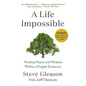 A Life Impossible: Finding Peace and Wisdom Within a Fragile Existence - Paperback