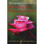 Vol. 22: Early DSLR Cameras II: Revisiting the Nikon D70 & D70S - Paperback