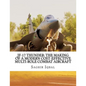 JF-17 Thunder: The Making of a Modern Cost-effective Multi-role Combat Aircraft - Paperback