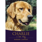 Charlie: A Love Story - Paperback
