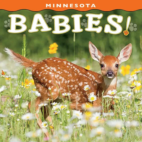 Minnesota Babies! - Board Book