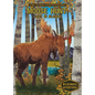 Moose Hunt: Lost in Alaska: Lost in Alaska - Library Binding