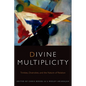 Divine Multiplicity: Trinities, Diversities, and the Nature of Relation - Paperback