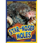 Star-Nosed Moles - Paperback