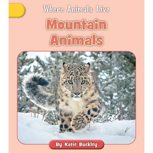 Mountain Animals - Paperback