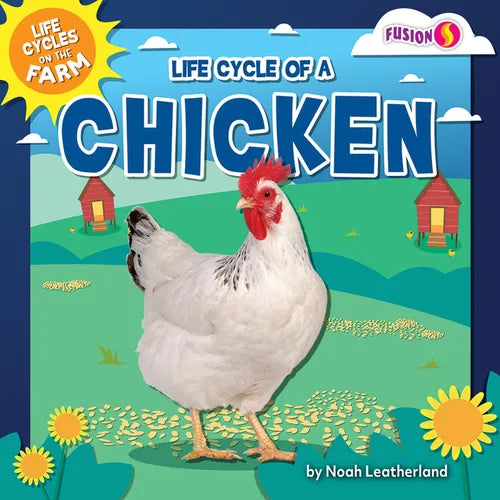 Life Cycle of a Chicken - Paperback