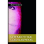 La Puerta de Los Suspiros - Paperback