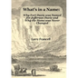 What's in a Name: Why Fort Davis was Named for Jefferson Davis and Why the Name was Never Changed - Paperback