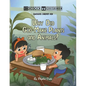 Why Did God Make Plants and Animals? - Paperback