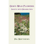 God's Wild Flowers: Saints with Disabilities - Hardcover