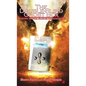 The Double-Blind Ghost Box: Scientific Methods, Examples, and Transcripts - Hardcover