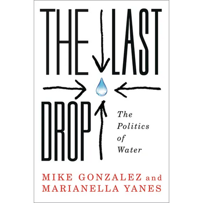 The Last Drop: The Politics of Water - Paperback