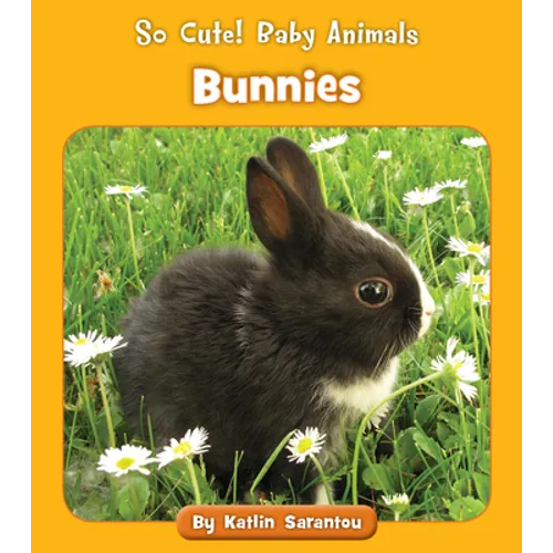 Bunnies - Paperback