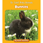Bunnies - Paperback
