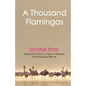 A Thousand Flamingos - Paperback
