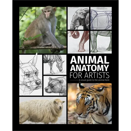 Animal Anatomy for Artists: A Visual Guide to the Animal Form - Hardcover