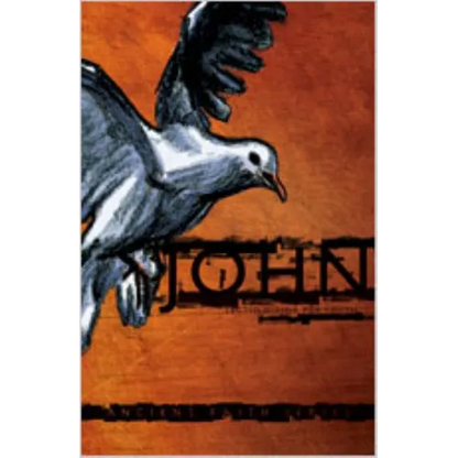 John: Lectio Divina for Youth - Paperback
