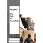 Imagine! the Fall of Ayatollahs - Paperback