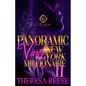 Panoramic Views With A New York Millionaire 2: An African American Romance: The Finale - Paperback