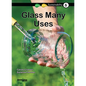 Glass -- Many Uses: Book 6 - Paperback