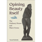 Opining Beauty Itself: The Ordinary Person and Plato's Forms - Paperback
