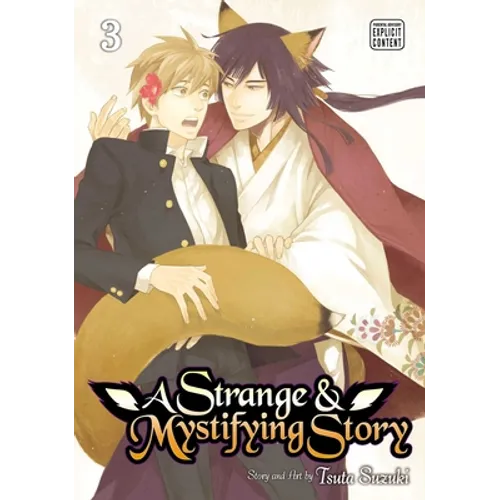 A Strange & Mystifying Story, Vol. 3 - Paperback