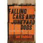 Falling Cars and Junkyard Dogs: Portraits from a Musical Life - Paperback