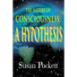 The Nature of Consciousness: A Hypothesis - Paperback
