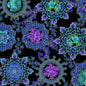 Black Opulent Medallion Cotton Wideback Fabric Per Yard