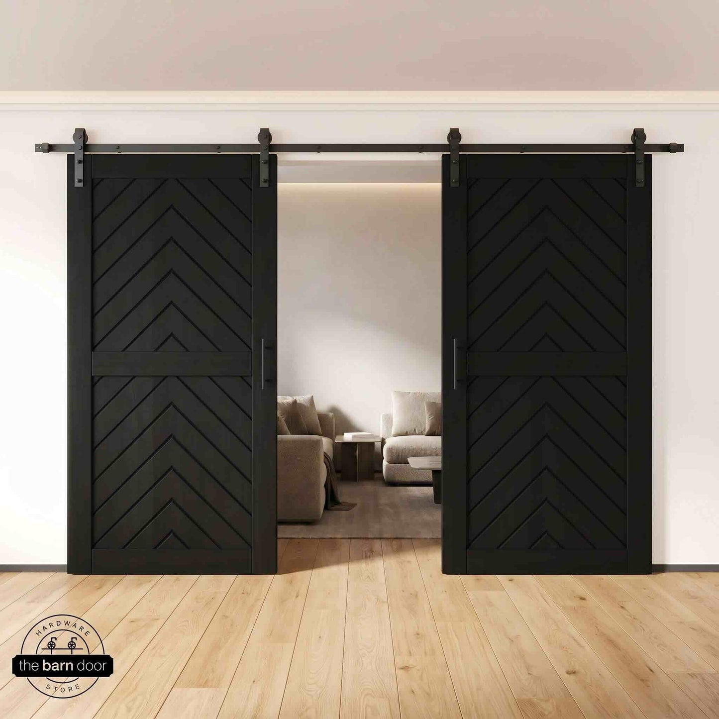 Fishbone Single Barn Door Kit | Black Hardware