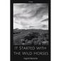 It Started with the Wild Horses - Paperback