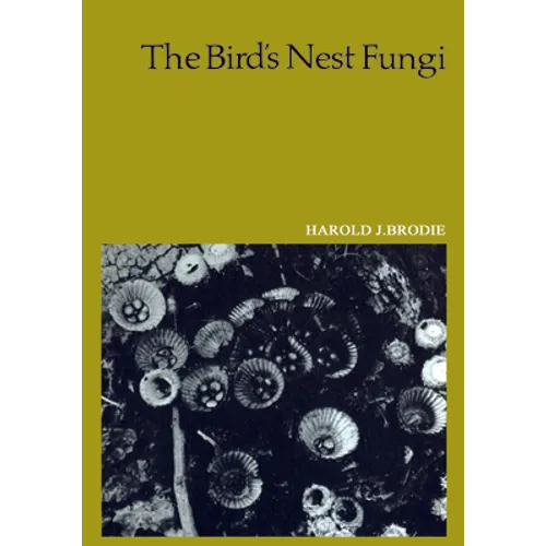 The Bird's Nest Fungi - Paperback