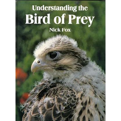 Understanding the Bird of Prey - Hardcover