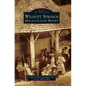 Wilhoit Springs: Molalla's Lost Resort - Hardcover