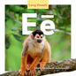 Ee - Library Binding