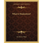 What Is Moderation? - Paperback
