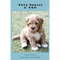 Your Doodle & You: A Guide to Breed Info, Basic Care & Training - Paperback