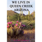 We Live In Queen Creek Arizona: If it were not for the Mafia we would most likely not have moved to Queen Creek - Paperback