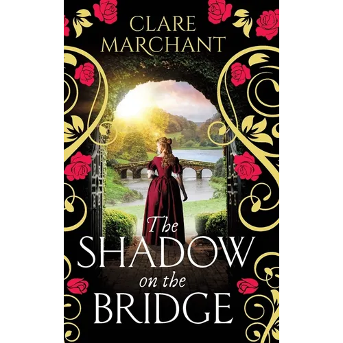 The Shadow on the Bridge - Hardcover