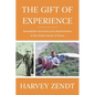 The Gift of Experience: Remarkable Encounters and Misadventures in the Global Pursuit of Waves - Paperback