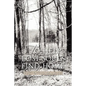 To Help Lost Souls Find Home - Paperback