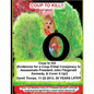 Coup to Kill: {Evidences for a Coup Detat Conspiracy to Assassinate President John Fitzgerald Kennedy, & Cover it Up!} - Paperback