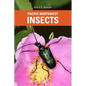 Pacific Northwest Insects - Paperback