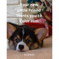 Your new Little Friend Wants you to Color Him: A Puppy to Play with Color from 4 years old - Paperback